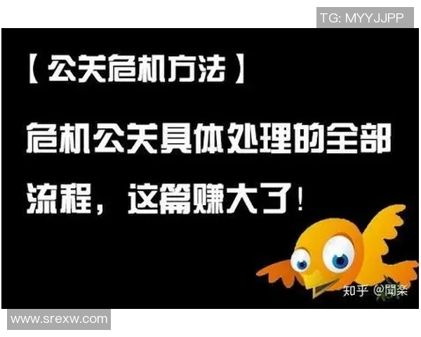 赛事危机公关处理策略与案例分析助力品牌形象恢复与提升